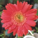 아이마당 이미지