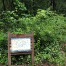 사나사주차장 이미지