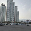 마산회원구 ⓓ-10 | 창원 마산 아이랑 가기 좋은 돝섬 벚꽃 개화현황,요트 체험 후기