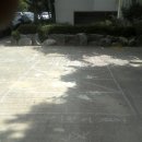 그리운 언덕 이미지