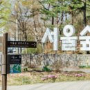 서울숲5 이미지
