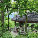 서리찻집 | 중국 창사 여행 코스 악록산 (웨루산) 악록서원 애만정 둘러보기