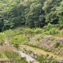 산골나들이 | 시흥 나들이_수국 카페 산골수목원 솔직후기