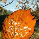 식구 카카오 검색결과