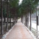 자동산책길 이미지