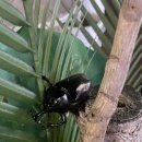 태일분식 이미지