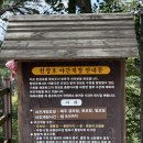 천장호 출렁다리 | 충남 청양 여행 가볼만한 곳 추천 천장호 출렁다리 야간개장 포함