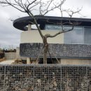 STAY1METER 이미지