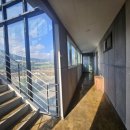 제이 앤 제이 애견 | 제주도가볼만한곳 서귀포 [제이큐브펜션] 바비큐 가능한 애견동반 감성숙소 후기