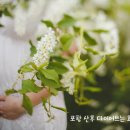 효자한의원 이미지