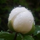 효원가든 이미지