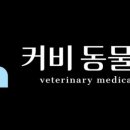 24시애견미용 이미지