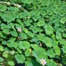 정양농장 이미지