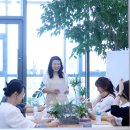 (원데이) 그린 플랜트 이미지