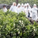 신효동-14 이미지