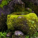 서리산농장 이미지