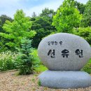꿈꾸는숲선유원