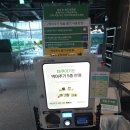 불난큰장날가든 | 경기도 일산 아쿠아가든 카페 양식 점심 힐링 수족관 여행 방문 커피 후기 2탄