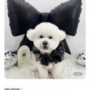 네임드 살롱 네이버블로그