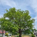 당포경로당 이미지