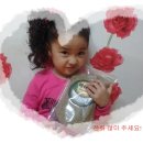 현서네마테차