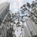 고덕에듀공인중개사사무소 이미지