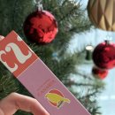 카나리아 | 도화향수 로벨리아 향수 카나리아 데일리향수 추천 사용후기