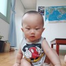빵떡쿵