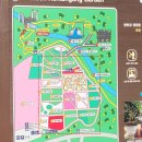 국내최장길이 포천 Y자 출렁다리 방문-가람누리문화공원전망대