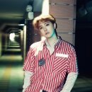 1976 티브이데일리
