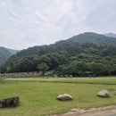 여름의 숲 이미지