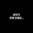 그린트리영어 이미지