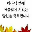 시실리 이미지
