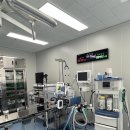 봉선아이동물메디컬센터 | [봉선아이동물메디컬센터] 광주동물24시병원 고양이건강검진