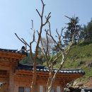 수목원농장 이미지