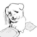 은성게임장 이미지