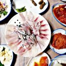 돌고래회집 이미지