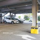 돈미담왕소금구이 이미지