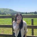 도연목장 이미지