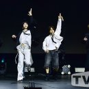 아이덴티티 티브이데일리