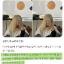 4071 미용실 | 연대앞미용실 셀프 레드 염색 모발, 애쉬베이지로 바꾸는 법 (연모 탈색 주의사항)