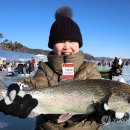 평창송어축제 이미지