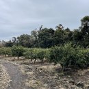 남원읍-59 이미지