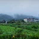 수선도예촌 티스토리