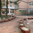 동구초등학교(병설) 이미지