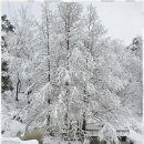 동해펜션민박 이미지