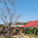 자연을 닮은 소박한 집 | 경주 천북 한옥카페 따뜻한 공간 자연을 닮은 소박한 집 자닮카페