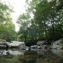 숲과계곡속으로 이미지