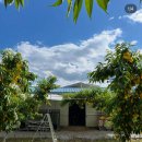 왜목스테이 | 따술의 첫 로드트립 - 1. 당진 합덕성당, 신리성지, 마섬포구, 왜목마을, 당진맛집 (고엔,담소)