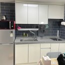 도그도마 이미지